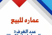 صبياء روضة نخلان عماره للبيع عظم مخطط نخلان