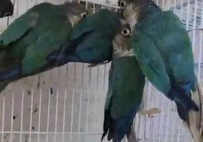 1186afca-524a-474b-ae15-7302fd0a088b