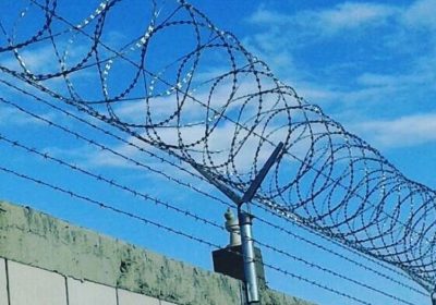 IMG_20240606_035546_636