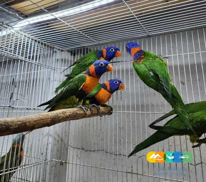 عرض خاص لمدة يومين