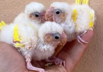 3f3e041c-b493-48db-b833-6fbb0a855217