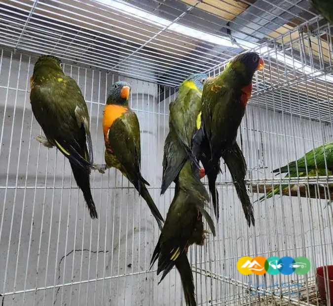 عرض خاص لمدة يومين