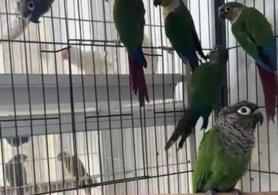 65717c00-cb0e-4a9c-8247-5dd6c9c3b581