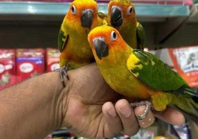 d2c2ec97-980b-4b51-9389-f58de00ab802