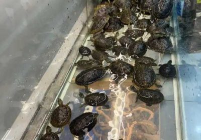 f9f99cc5-f9cf-45a0-a018-62282ba7c892