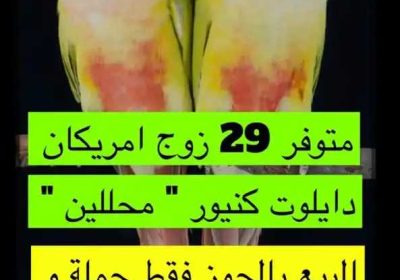 facdf4a2-89f2-4a98-8ee9-16c64ea2e7f8