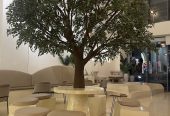 كوفي للتقبيل بموقع مميز