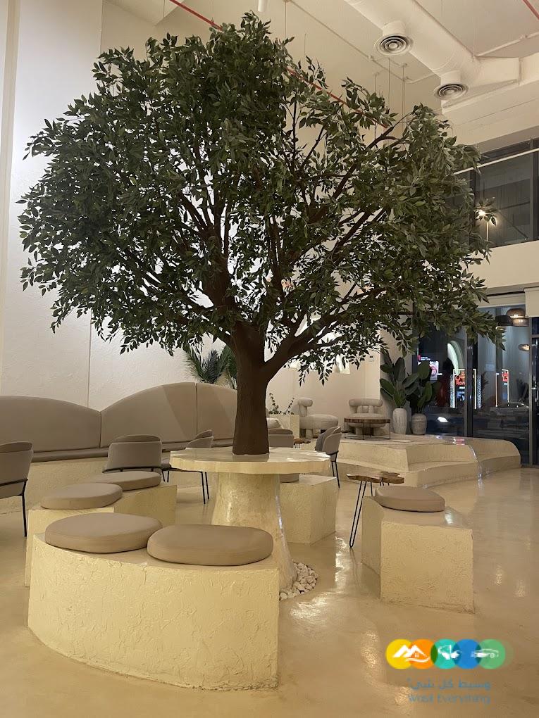 كوفي للتقبيل بموقع مميز