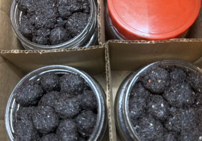 3BE82E70-0D76-45F9-ADF4-975461B7CADA