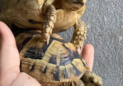 6c2acc30-7986-40d3-a998-b8a22bd57aa5