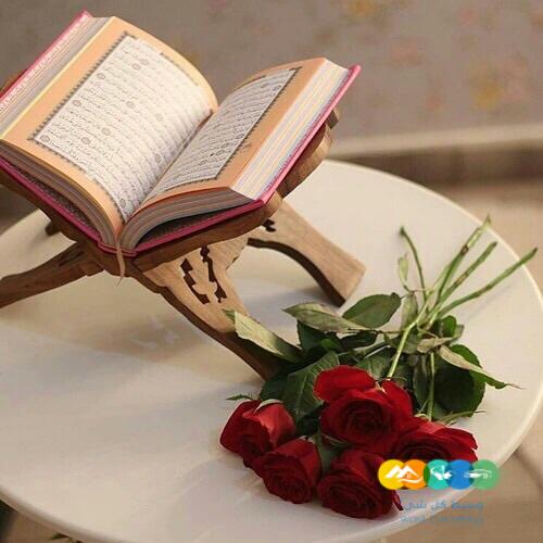 معلم ومحفظ قرآن كريم ( بالتجويد) اون لاين