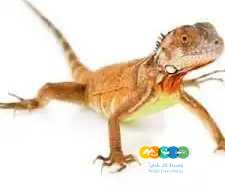 0af4081c-ac0f-4fa2-bbcd-9f887bdfadd0