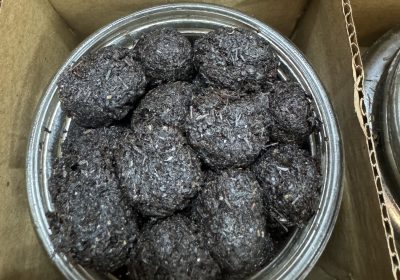 3E8F989E-2144-4F01-962D-E8D4DE36A409