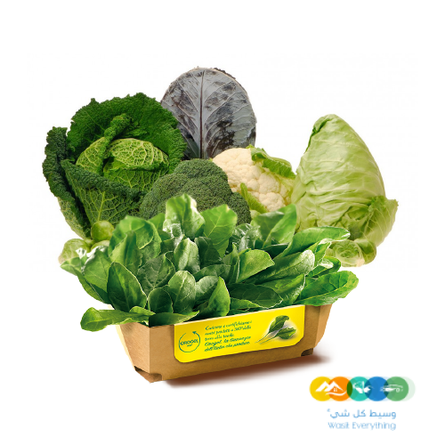 شركة نهر الامداد لتوريد الفواكة والخضروات بجدة