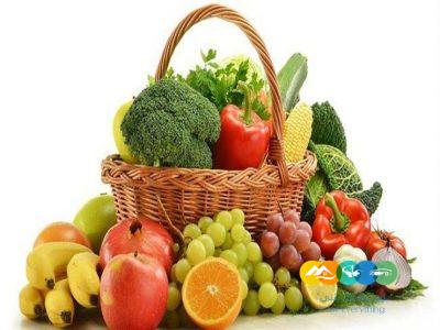 شركة نهر الامداد لتوريد الفواكة والخضروات بجدة
