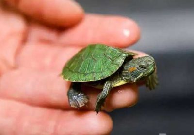 d46d7fc8-f356-43eb-b246-ada32b0520e0