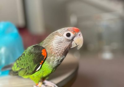 photo_2024-10-10_00-36-58