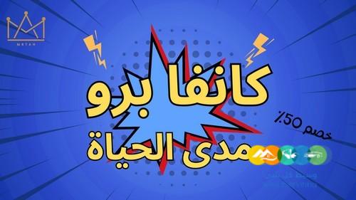 اشتراكات كانفا برو مدى الحياة – خصم 50%