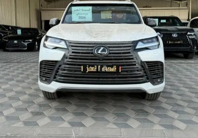 _١٦٣١١٣