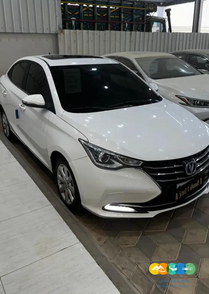 شانجان – السفن نص فل – سعودي – 2023