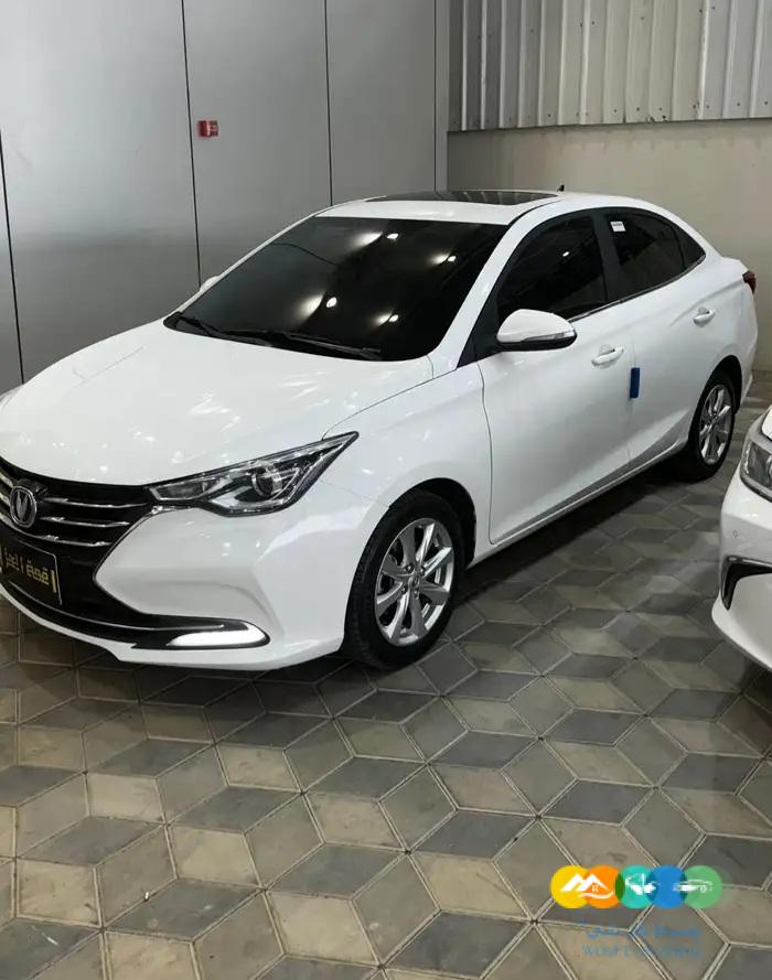 شانجان – السفن نص فل – سعودي – 2023