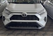 راف فور XLE – بنزين 2.5 – بريمي – 2024