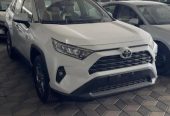 راف فور XLE – بنزين 2.5 – بريمي – 2024