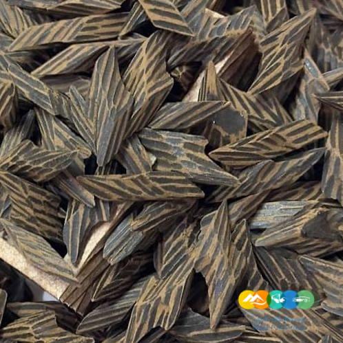 عود تايقر فيتنامي بجودة عالية