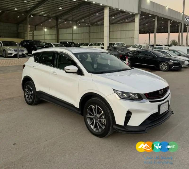 جيلي كولراي 2021