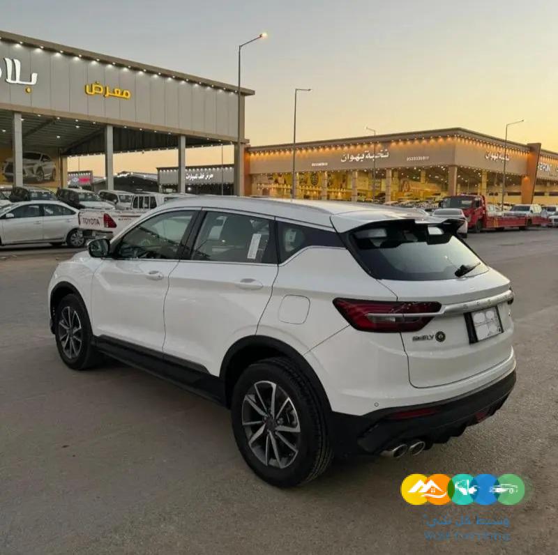 جيلي كولراي 2021