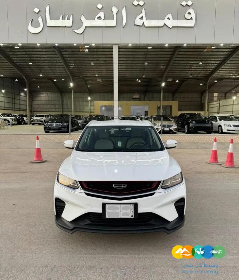 جيلي كولراي 2021