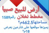 في نخلان ارض في صبيا للبيع للتواصل
