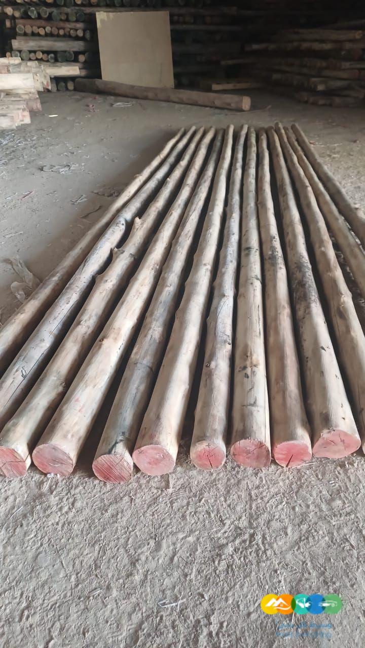 اعواد مستندات زراعي خيزران