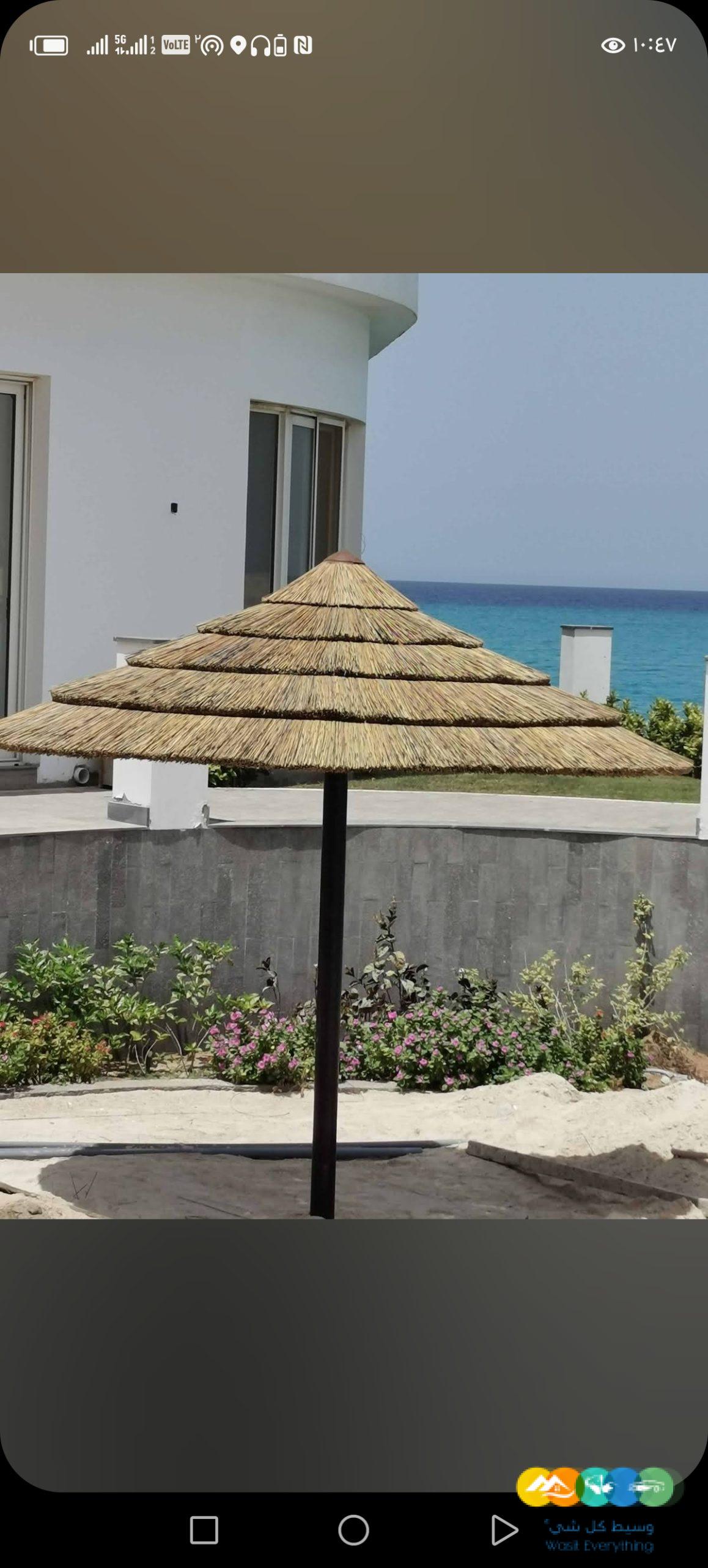 اعواد مستندات زراعي خيزران