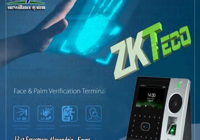 329726826_2541587769325921_3051910186101465480_n