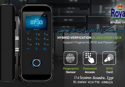 473570623_122177654378125321_1668472044473307265_n