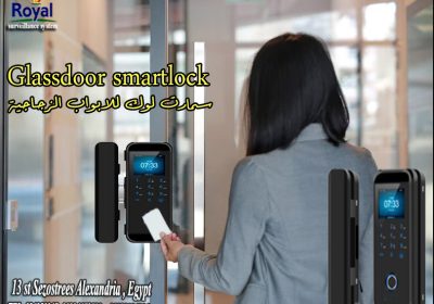 480551883_1075688464578459_85636متن764506ن157ت33209_نnاال