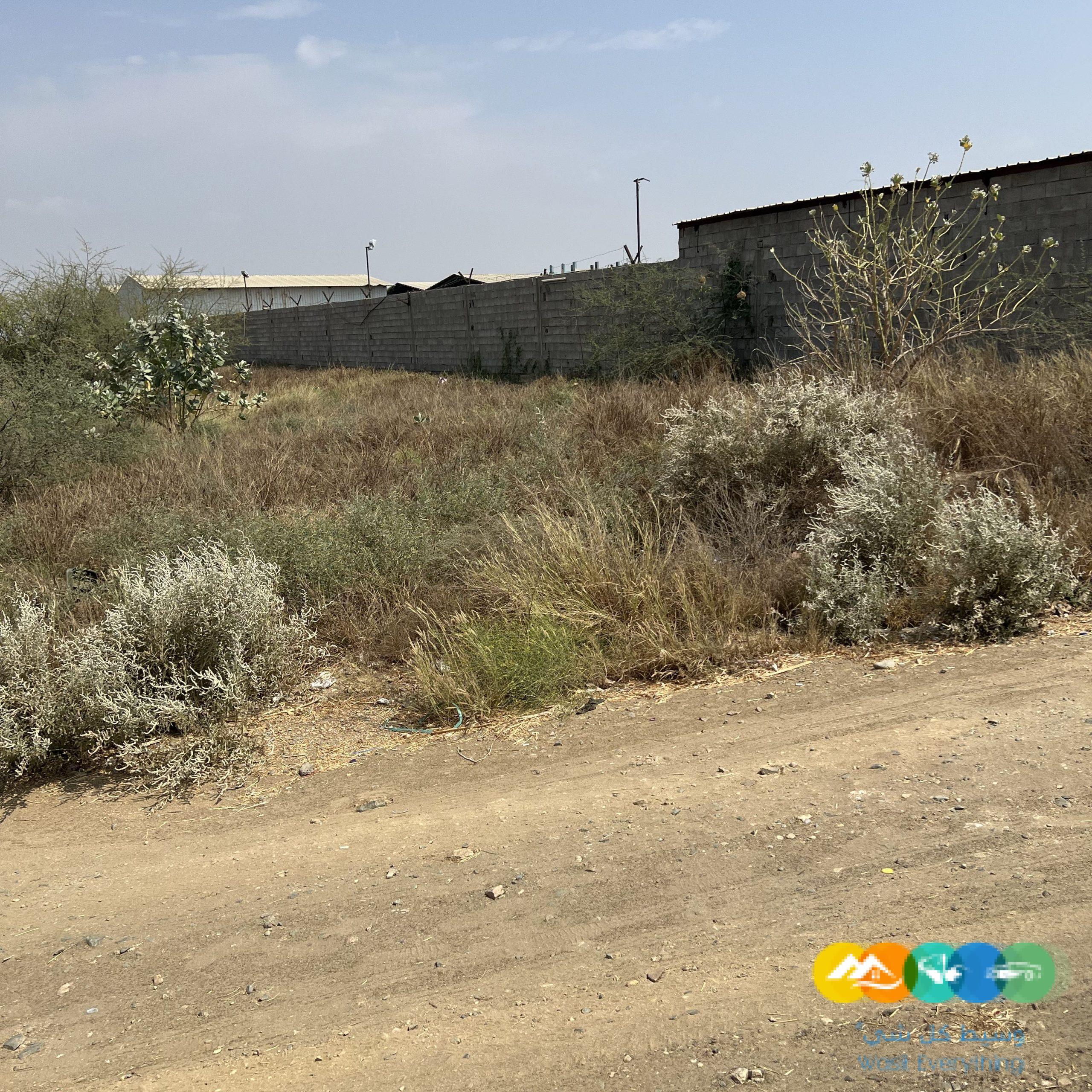 صبيا المحله حلة الجدع