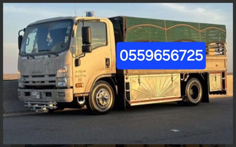 دينا طش الاثاث القديم بالرياض 0559656725