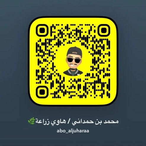الرياض