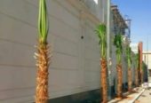مقاول.شبوك 0500141664