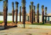 مقاول.شبوك 0500141664