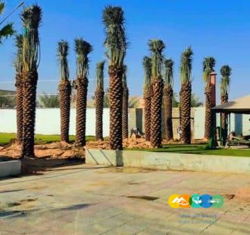 مقاول.شبوك 0500141664