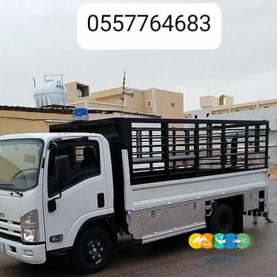 قصاب ماهر بالرياض جزار في الرياض 0533647592