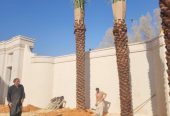 مقاول.شبوك 0500141664