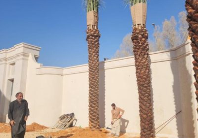 Screenshot_٢٠٢٥٠٤٢٣-١٨٤٦٣٠_Haraj