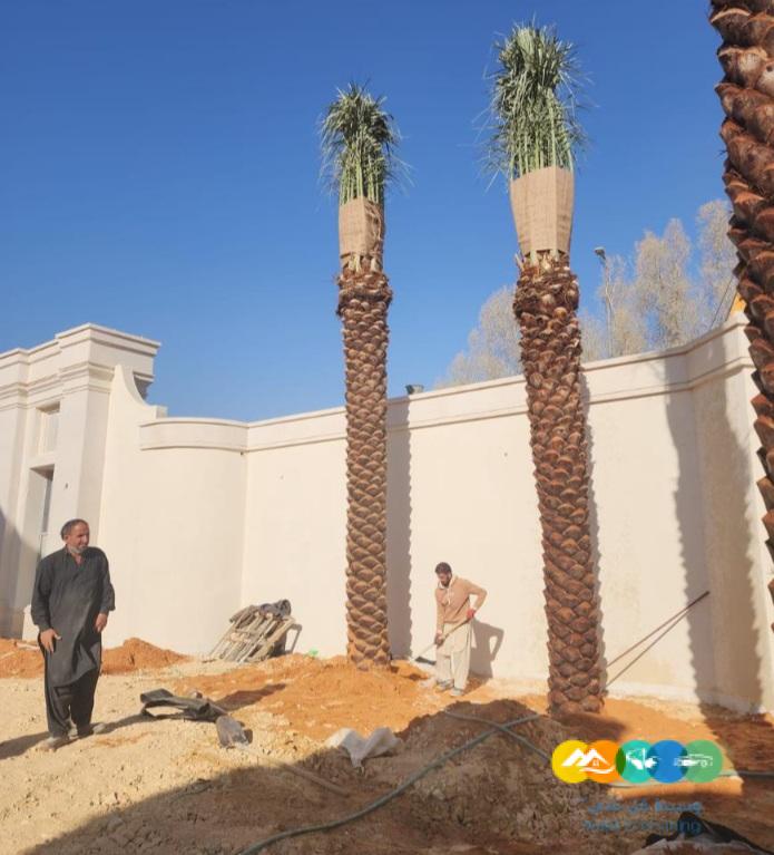 مقاول.شبوك 0500141664