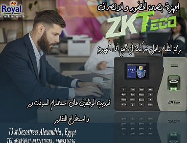 side-view-people-working-together