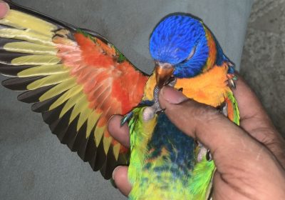 EA101305-F9DC-452C-84F8-42A69ADE340D