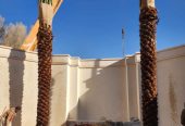 مقاول.شبوك 0500141664
